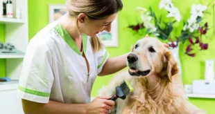 Pets Houses Franchise
