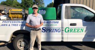 Spring-Green Franchise